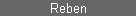 Reben